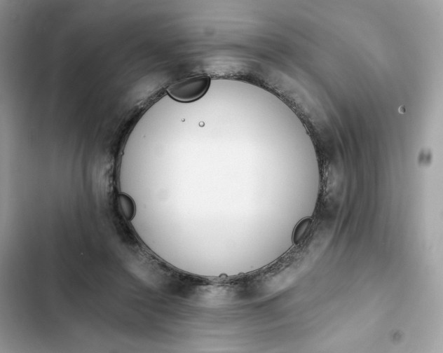 X0000102370356200808151840