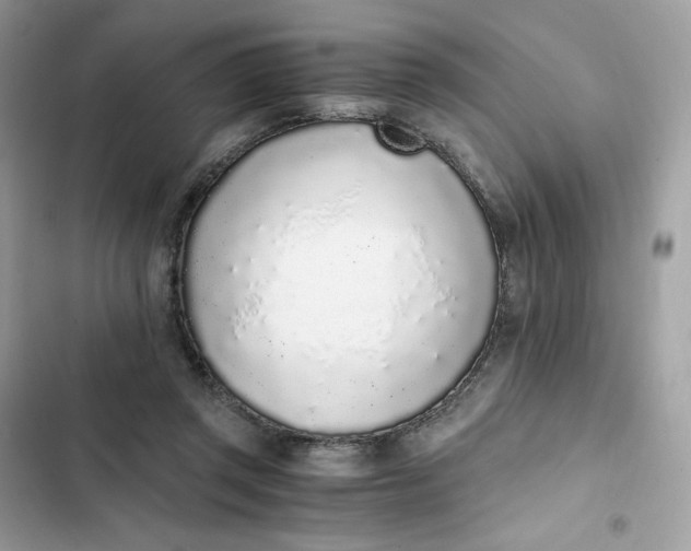 X0000102370357200808151840