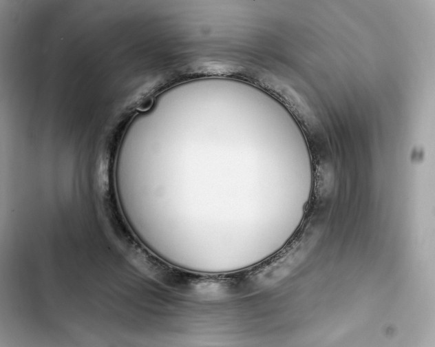 X0000102370358200808151840