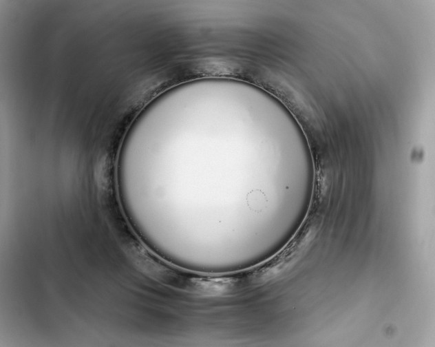 X0000102370359200808151840