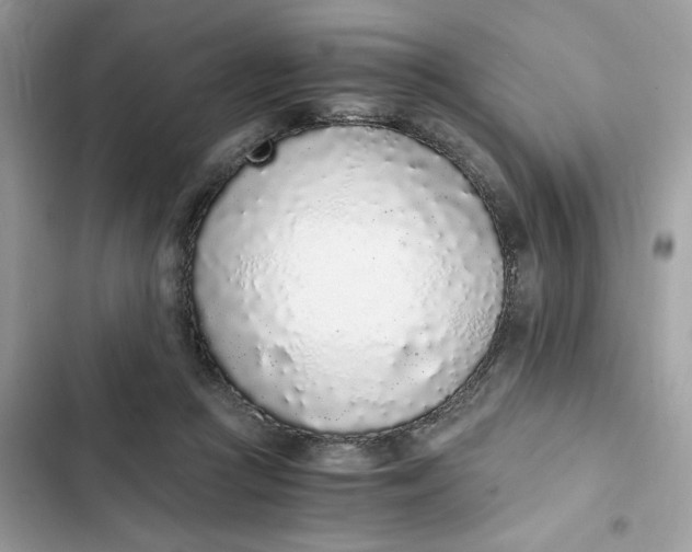 X0000102370361200808151840