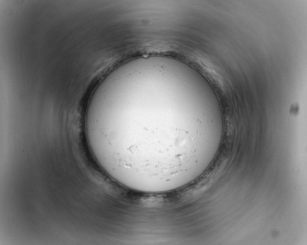 X0000102370362200808151840