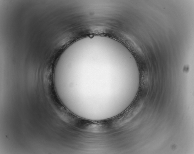 X0000102370364200808151840