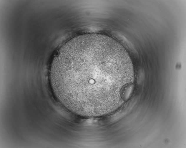 X0000102370366200808151840