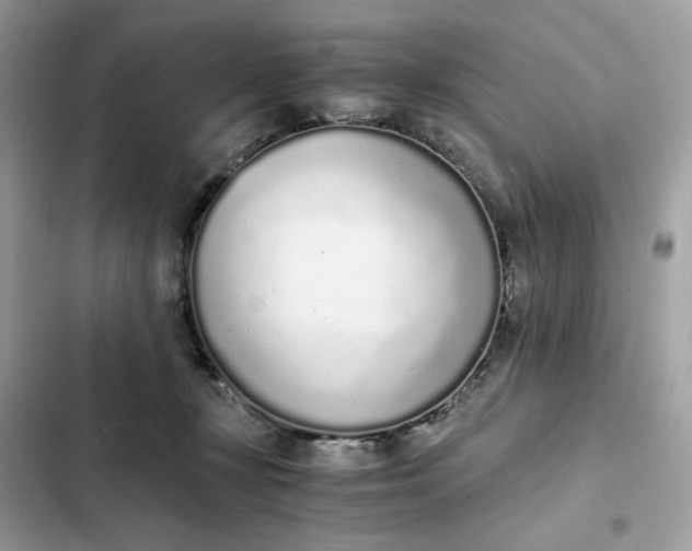 X0000102370367200808151840