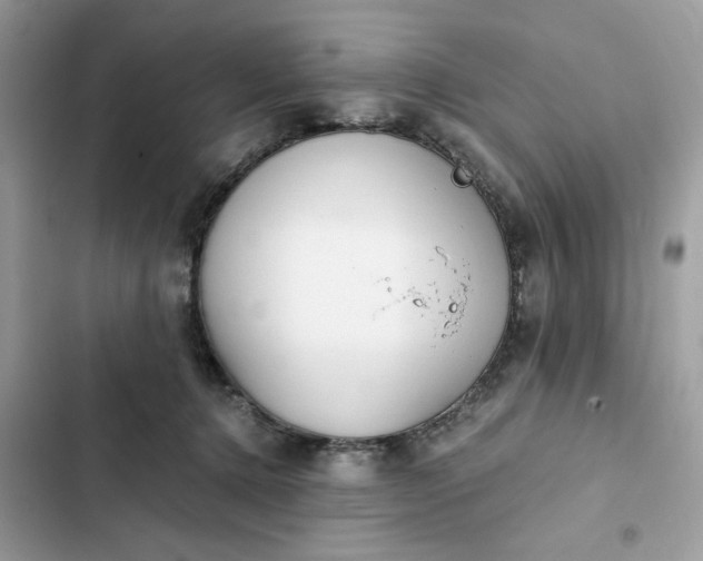 X0000102370368200808151840