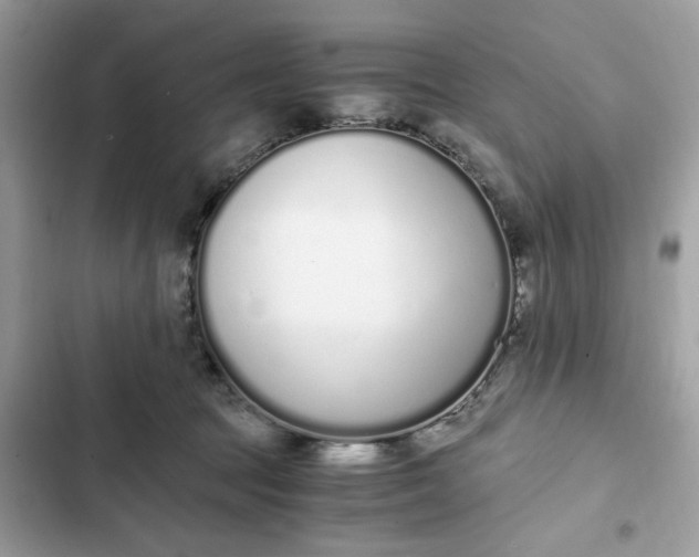 X0000102370369200808151840