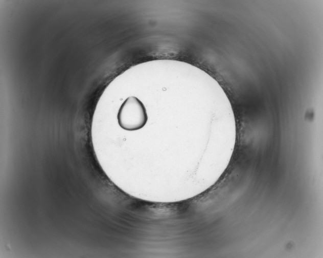 X0000102370370200808151840