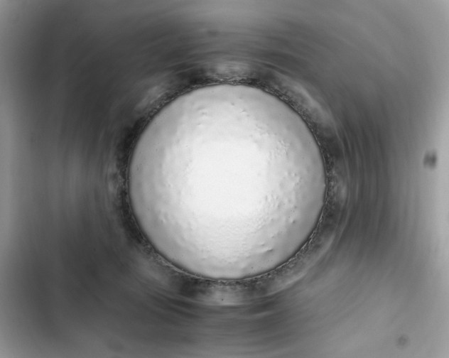 X0000102370371200808151840