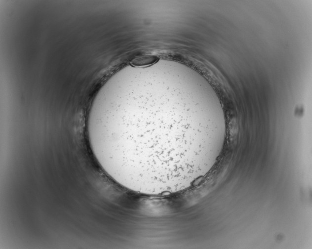 X0000102370372200808151840