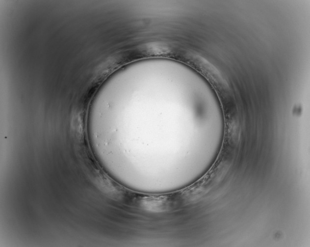 X0000102370373200808151840