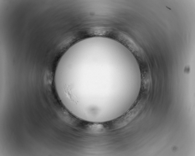 X0000102370374200808151841