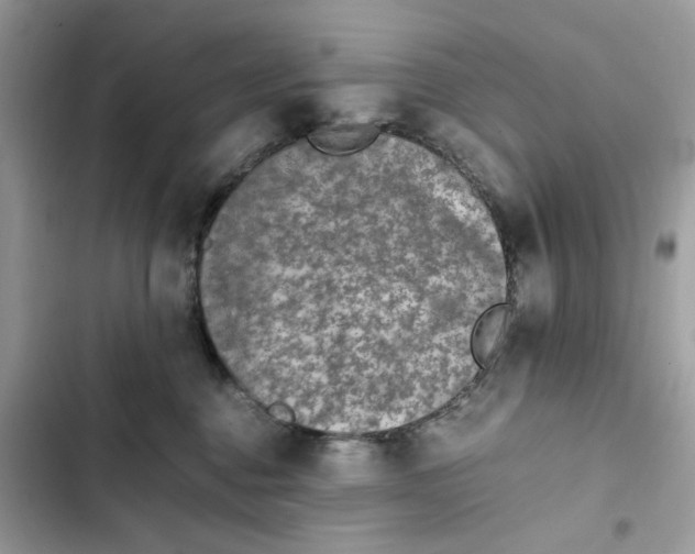 X0000102370376200808151841