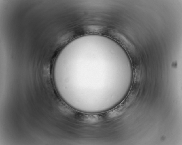 X0000102370377200808151841