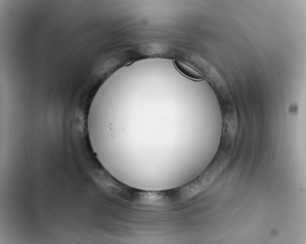 X0000102370380200808151841