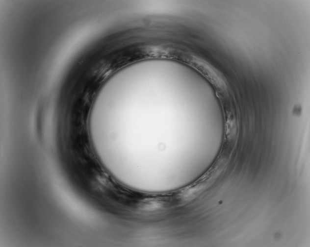 X0000102370381200808151841