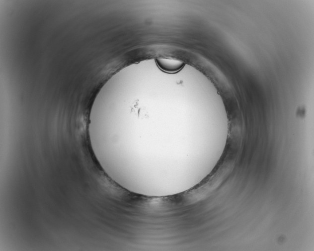 X0000102370382200808151841