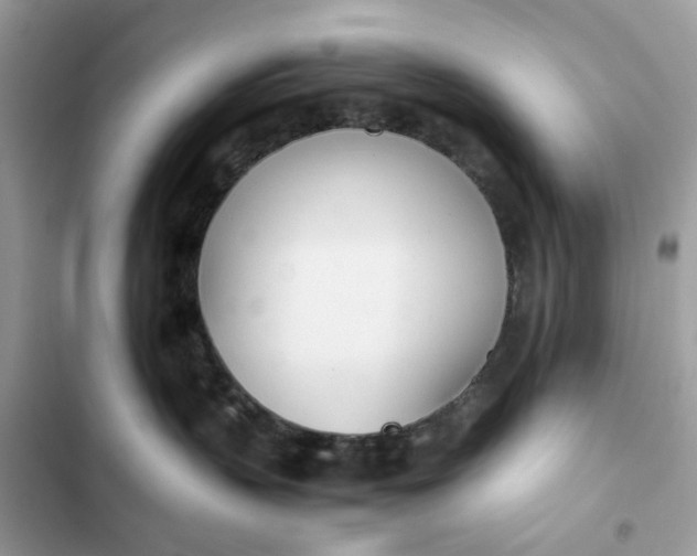 X0000102370383200808151841