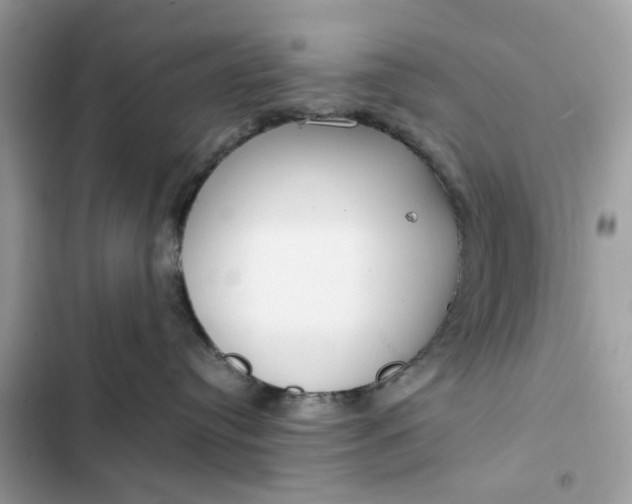 X0000102370384200808151841