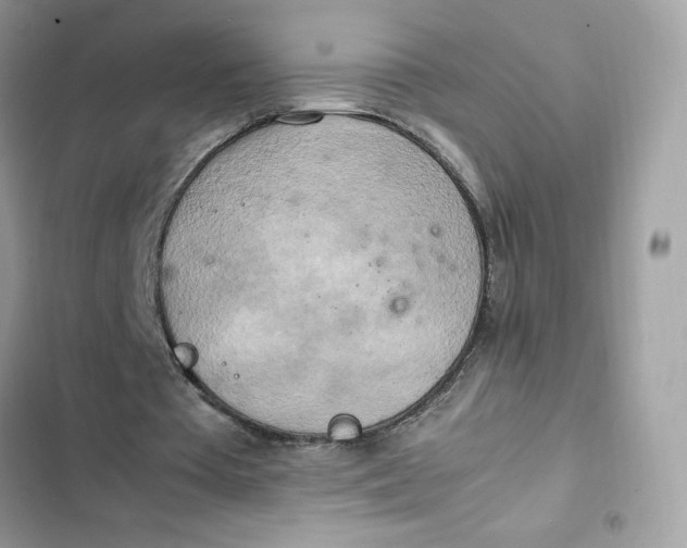 X0000102370385200808151840