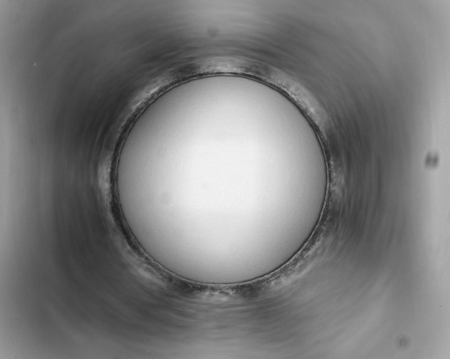 X0000102370386200808151840