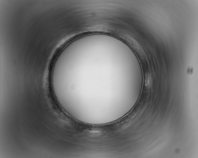 X0000102370388200808151840