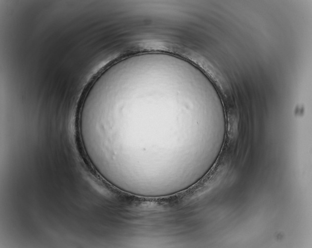 X0000102370390200808151840