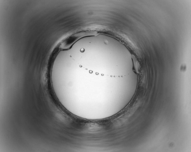 X0000102370392200808151840