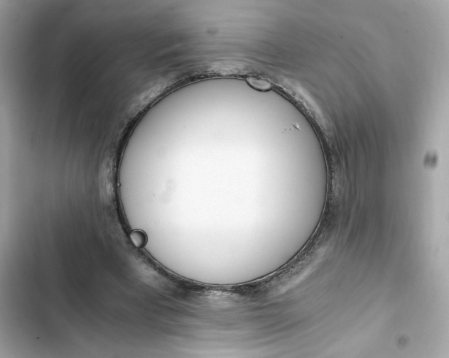 X0000102370393200808151840