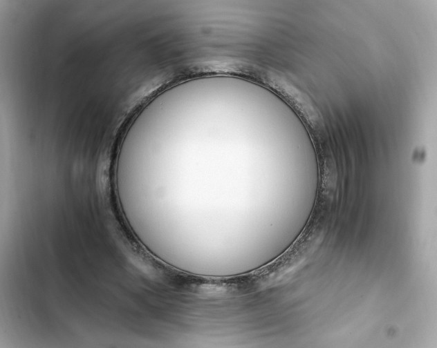 X0000102370394200808151840