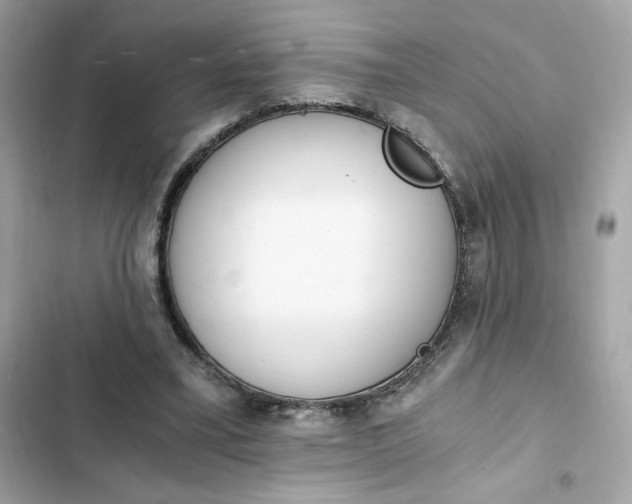 X0000102370395200808151840