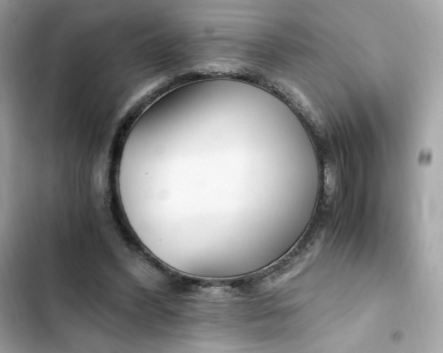 X0000102370396200808151840