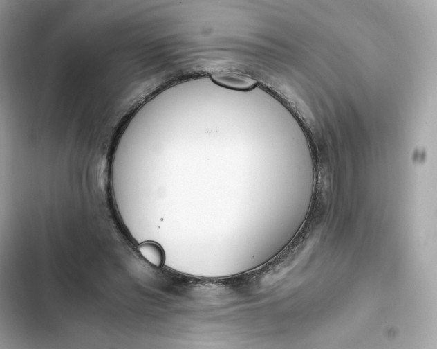 X0000102370397200808151840