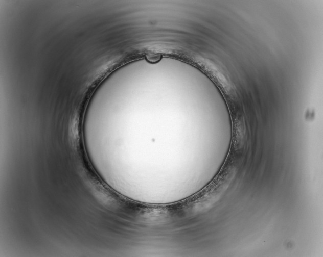 X0000102370398200808151840