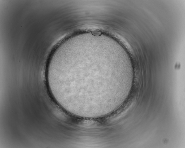 X0000102370399200808151840