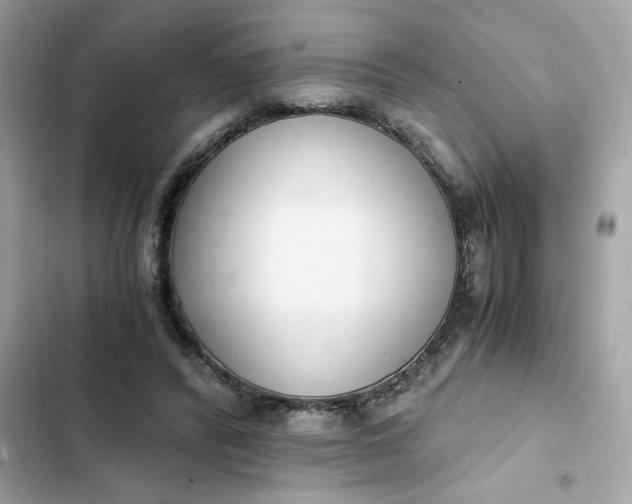 X0000102370400200808151840