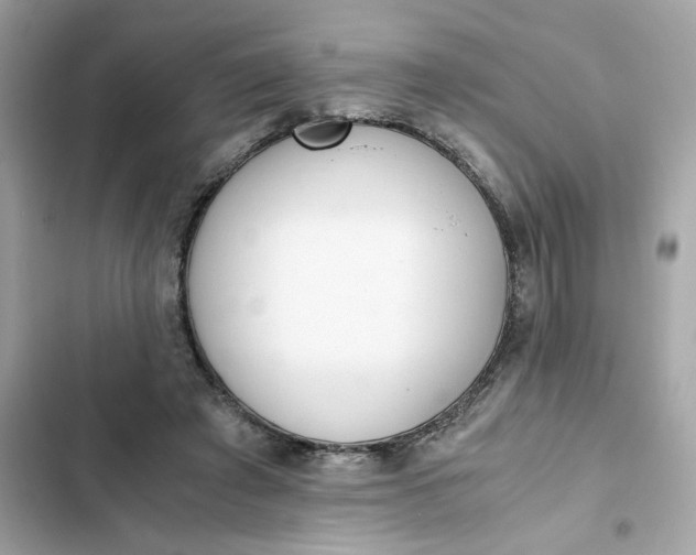 X0000102370401200808151840