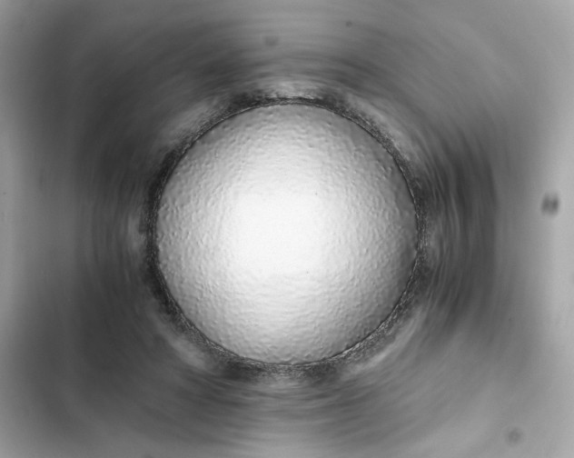 X0000102370402200808151840