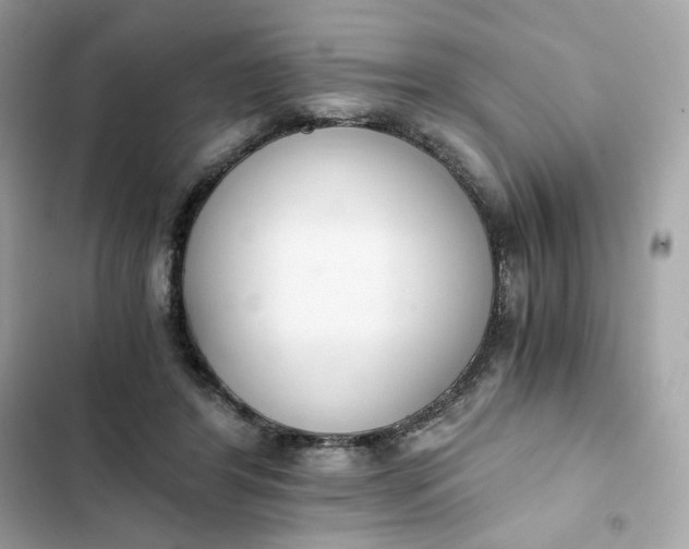 X0000102370404200808151840