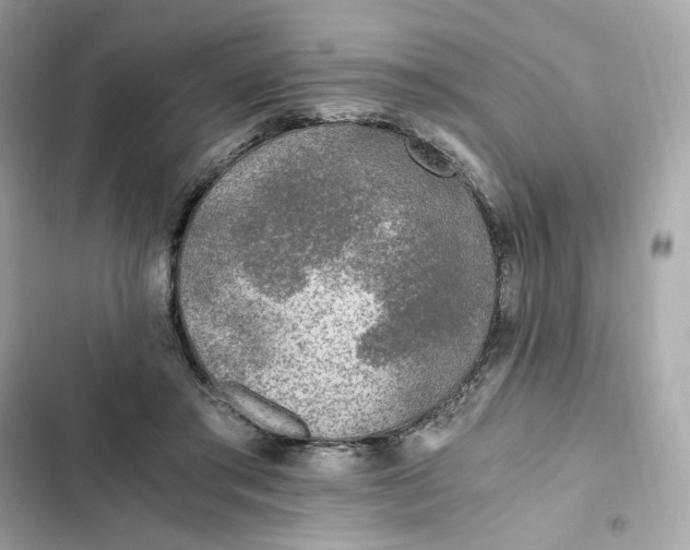 X0000102370405200808151840