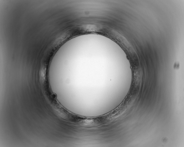 X0000102370406200808151840