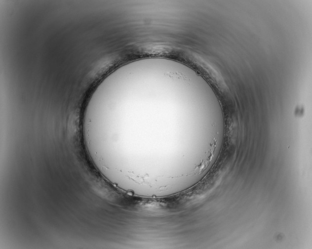 X0000102370407200808151840