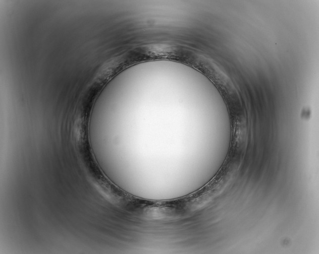 X0000102370408200808151840