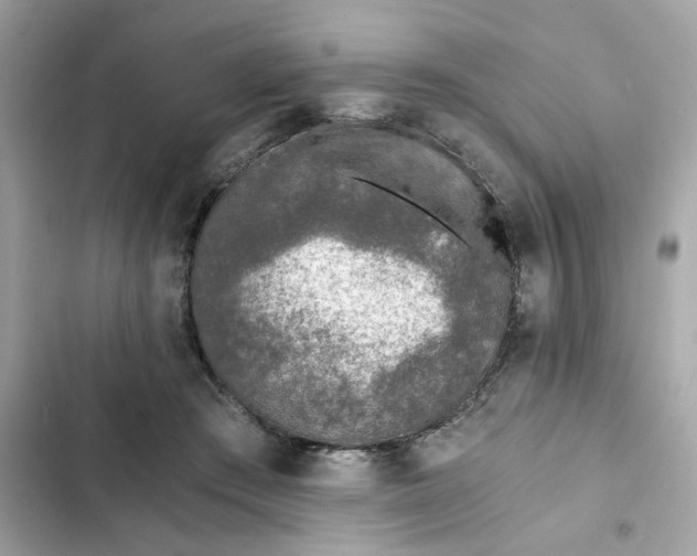 X0000102370409200808151840