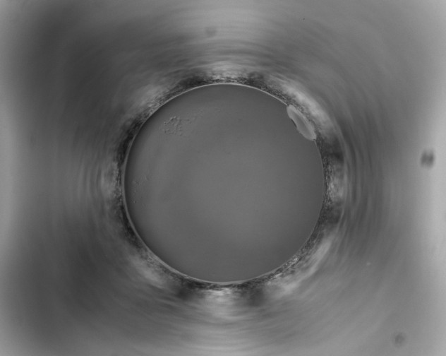 X0000102370411200808151840