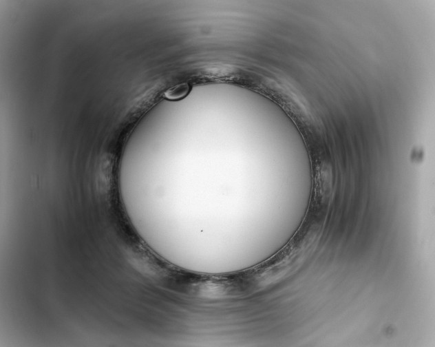 X0000102370412200808151840