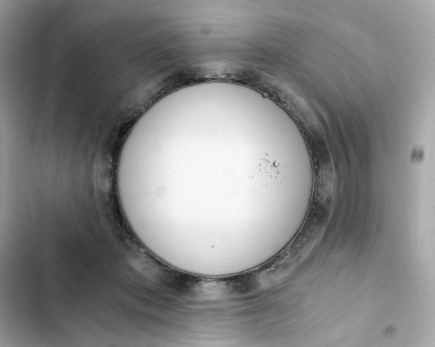 X0000102370413200808151840