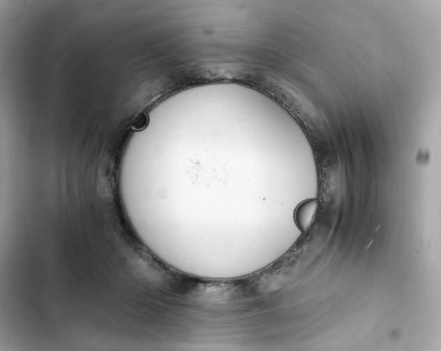 X0000102370414200808151840