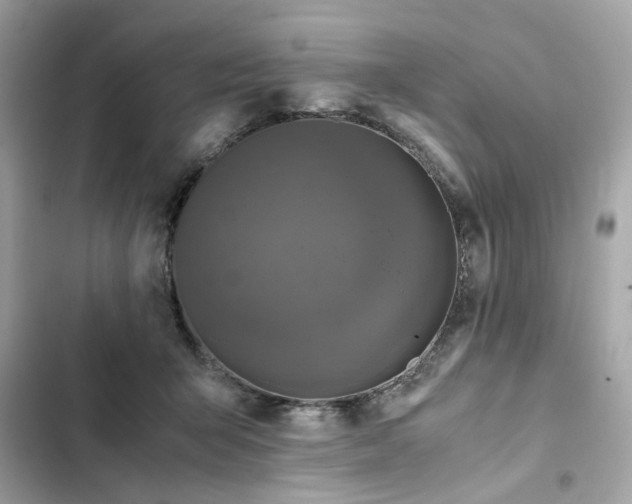 X0000102370415200808151840