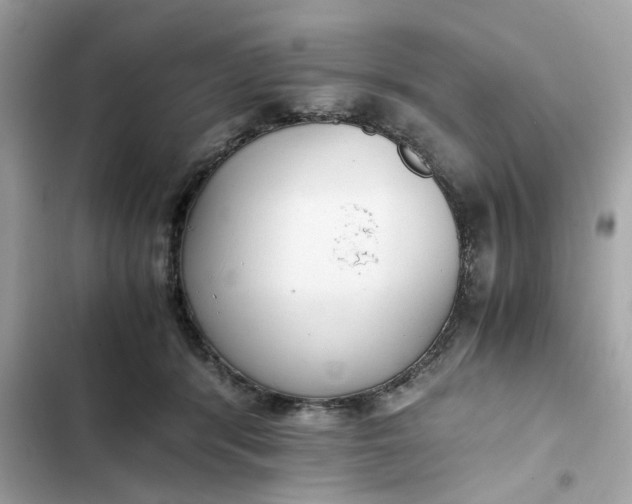 X0000102370416200808151840